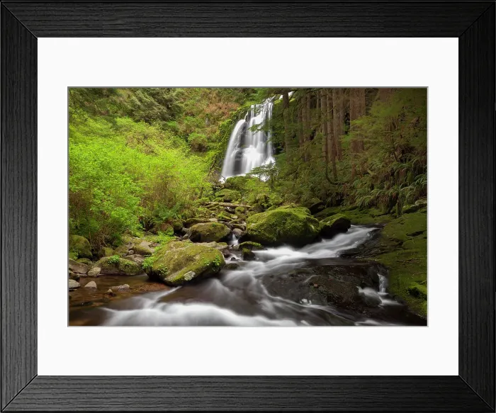 Framed Print : USA, Oregon, Siuslaw National Forest. Upper Kentucky Falls Framed Print : USA, Oregon, Siuslaw National Forest. Upper Kentucky Falls