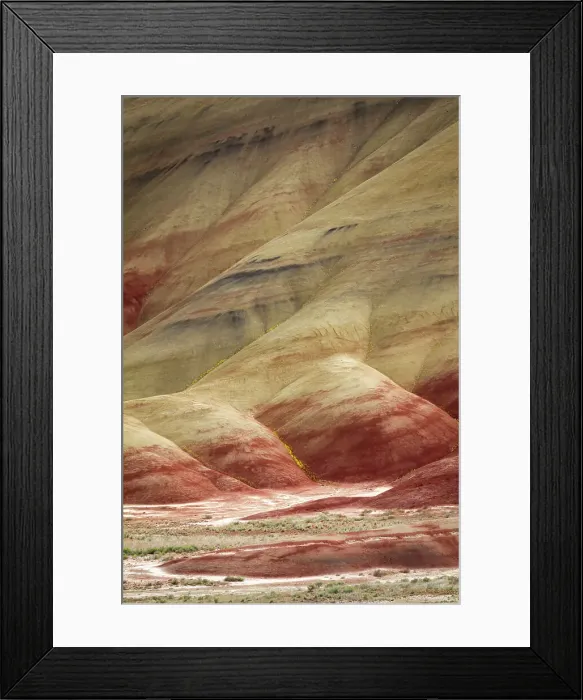 Framed Print : USA, Oregon, John Day Fossil Beds National Monument. Multicolored strata in the Painted Hills unit with golden bee plant, and chaenactis