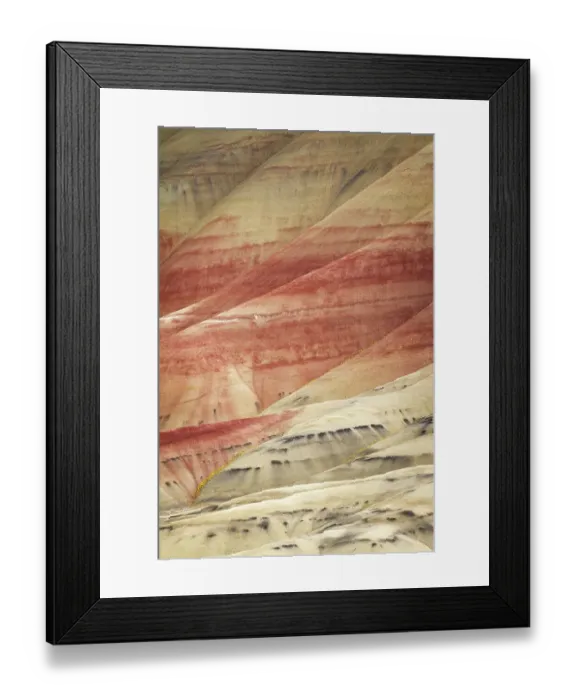 Framed Print : USA, Oregon, John Day Fossil Beds National Monument. Multicolored strata in the Painted Hills unit with golden bee plant, and chaenactis Framed Print : USA, Oregon, John Day Fossil Beds National Monument. Multicolored strata in the Painted Hills unit with golden bee plant, and chaenactis
