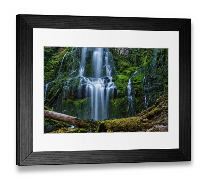Framed Print : Proxy Falls in Oregon