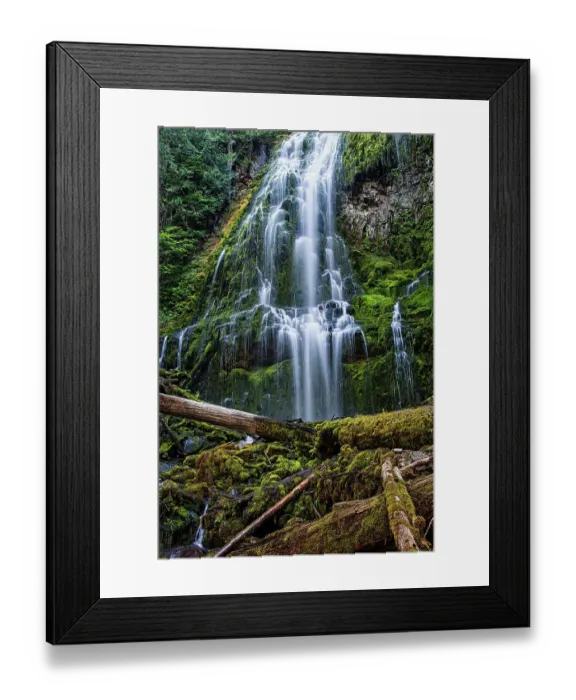 Framed Print : Proxy Falls in Oregon