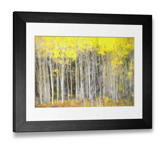 Framed Print : Abstract of aspen Framed Print : Abstract of aspen