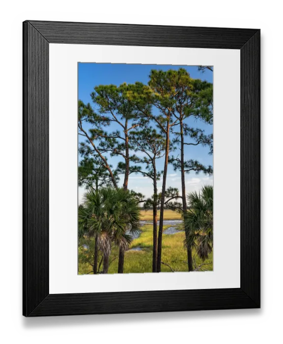Framed Print : USA, South Carolina. Kiawah Island, early morning