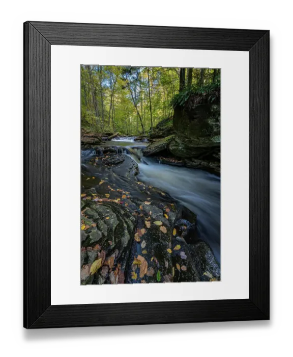 Framed Print : USA, Pennsylvania. Ricketts Glen State Park, fallen leaves along creek Framed Print : USA, Pennsylvania. Ricketts Glen State Park, fallen leaves along creek