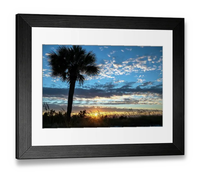 Framed Print : USA, South Carolina. Palm tree Silhouetted on sand dune at sunrise on Hilton Head Island Framed Print : USA, South Carolina. Palm tree Silhouetted on sand dune at sunrise on Hilton Head Island