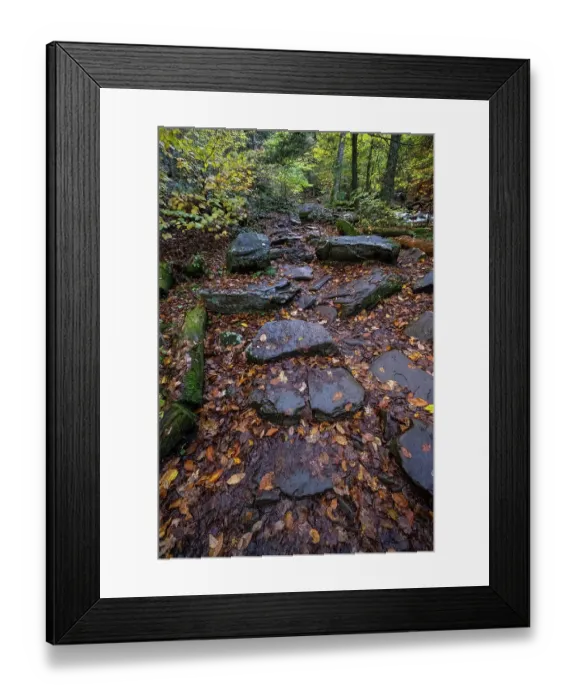 Framed Print : USA, Pennsylvania. Ricketts Glen State Park, fallen leaves along the trail
