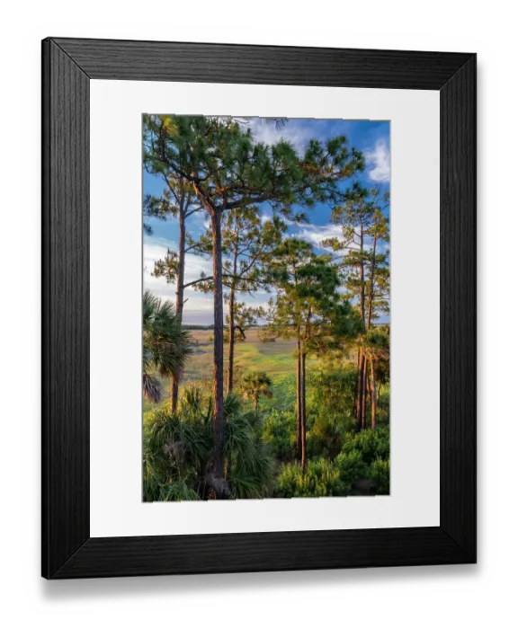 Framed Print : USA, South Carolina. Kiawah Island, early morning Framed Print : USA, South Carolina. Kiawah Island, early morning
