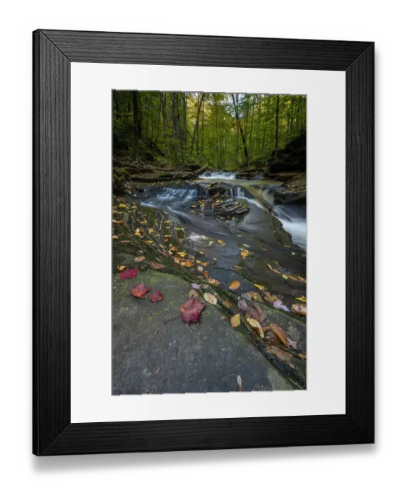 Framed Print : USA, Pennsylvania. Ricketts Glen State Park, fallen leaves and creek