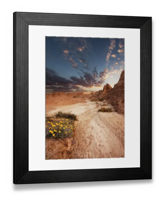 Framed Print : Sandy path leading to the striking peaks or hoodoos of the Badlands with wildflower Framed Print : Sandy path leading to the striking peaks or hoodoos of the Badlands with wildflower