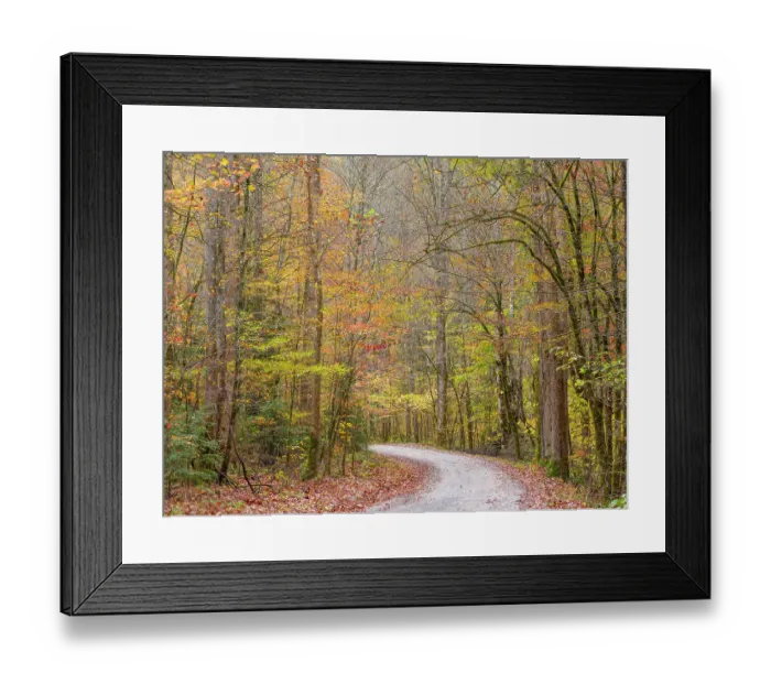 Framed Print : Great Smoky Mountains National Park, fall Framed Print : Great Smoky Mountains National Park, fall