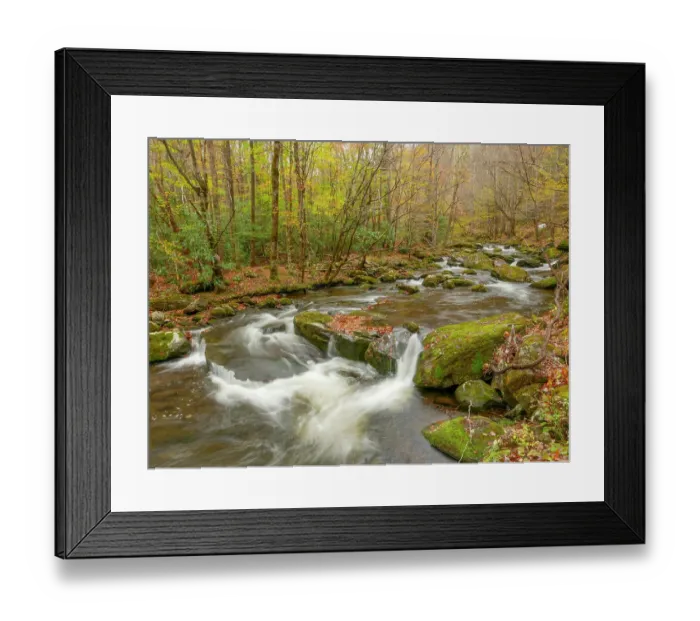 Framed Print : Great Smoky Mountains National Park, fall Framed Print : Great Smoky Mountains National Park, fall