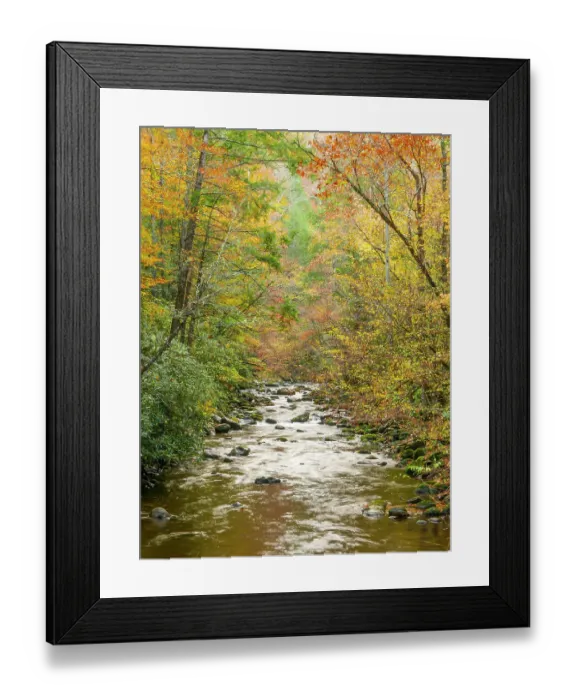 Framed Print : Great Smoky Mountains National Park, fall Framed Print : Great Smoky Mountains National Park, fall