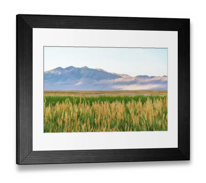 Framed Print : USA, Utah, Bear River National Wildlife Refuge. Mountain and plain landscape Framed Print : USA, Utah, Bear River National Wildlife Refuge. Mountain and plain landscape