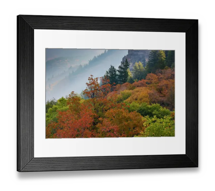 Framed Print : USA, Utah, Logan. Logan Pass Highway 89 and fall colored canyon maple trees Framed Print : USA, Utah, Logan. Logan Pass Highway 89 and fall colored canyon maple trees