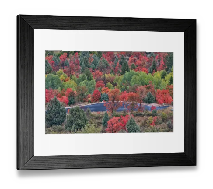 Framed Print : USA, Utah, Garden City. Bear lake area in autumn colors of red, golden on canyon maple and Aspen with road below Framed Print : USA, Utah, Garden City. Bear lake area in autumn colors of red, golden on canyon maple and Aspen with road below