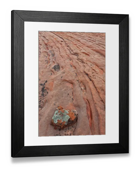 Framed Print : USA, Utah, Zion National Park. Patterns of erosion in sandstone Framed Print : USA, Utah, Zion National Park. Patterns of erosion in sandstone