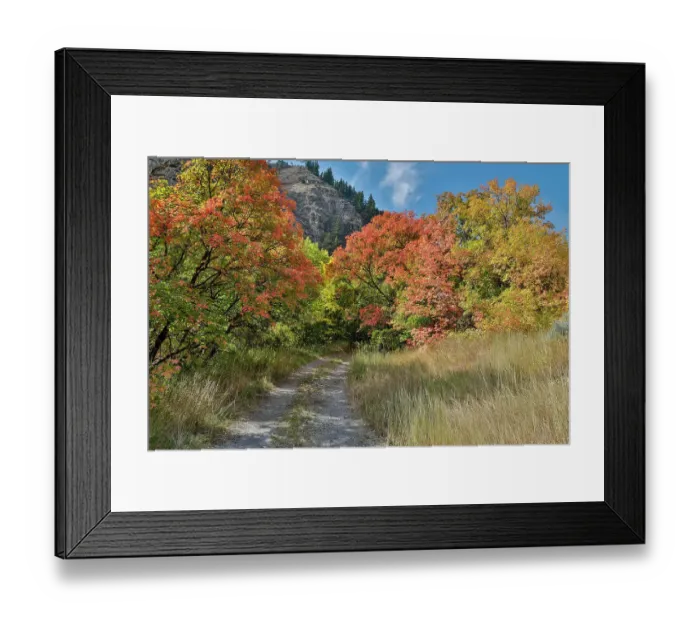 Framed Print : USA, Utah, Highway 89 Logan area in autumn colors with the canyon maple and gravel track Framed Print : USA, Utah, Highway 89 Logan area in autumn colors with the canyon maple and gravel track