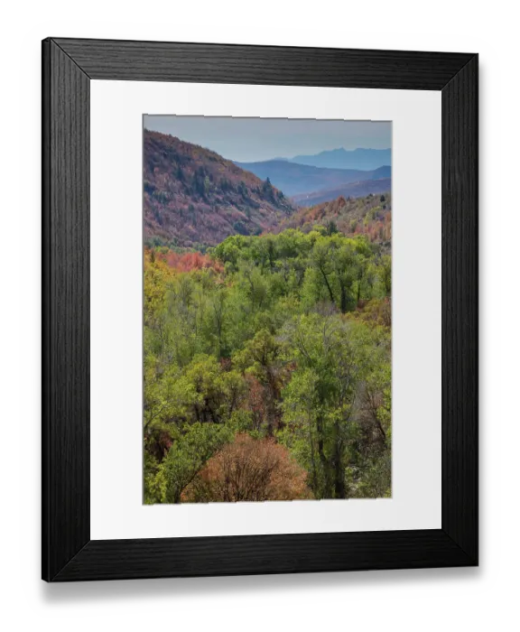Framed Print : USA, Utah. Highway 39 as you head West to Ogden with cottonwoods and canyon maple