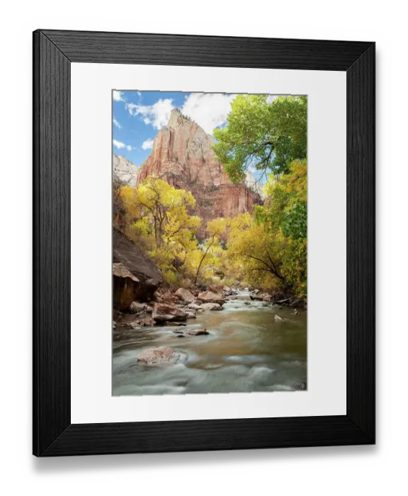Framed Print : USA, Utah, Zion National Park. American dipper, also known as a water ouzel. Fall foliage near Virgin River