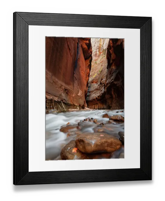 Framed Print : USA, Utah, Zion National Park. Maple leaf on stone in the Virgin River, The Narrows