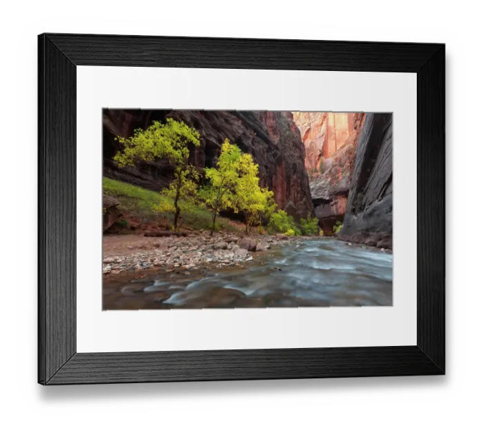 Framed Print : USA, Utah, Zion National Park. Fall colors in the Virgin River, The Narrows