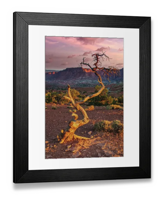 Framed Print : Sunset in Capitol Reef National Park Framed Print : Sunset in Capitol Reef National Park