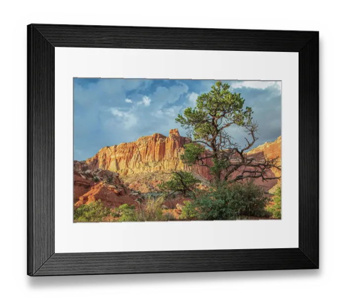 Framed Print : Capitol Reef National Park Framed Print : Capitol Reef National Park
