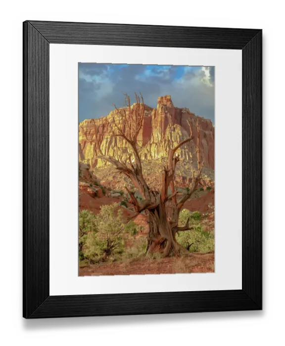 Framed Print : Capitol Reef National Park Framed Print : Capitol Reef National Park