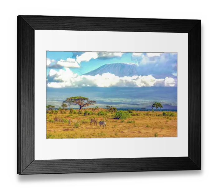 Framed Print : Samburu National Reserve, Kenya. Wide angle landscape view of Mt. Kilimanjaro with zebras grazing on the savannah Framed Print : Samburu National Reserve, Kenya. Wide angle landscape view of Mt. Kilimanjaro with zebras grazing on the savannah