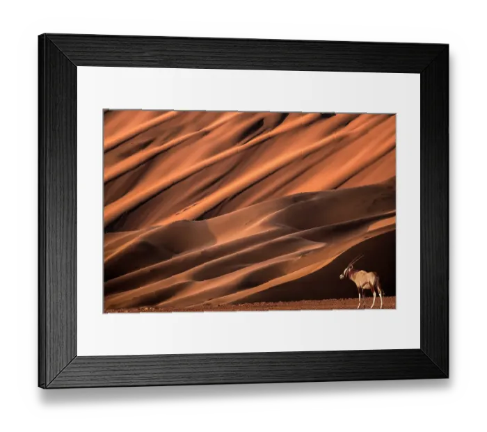 Framed Print : Africa, Namibia, Namib-Naukluft National Park, Sossusvlei. Oryx beside large sand dune. ©Jim Zuckerman / Jaynes Gallery / DanitaDelimont.com Framed Print : Africa, Namibia, Namib-Naukluft National Park, Sossusvlei. Oryx beside large sand dune. ©Jim Zuckerman / Jaynes Gallery / DanitaDelimont.com