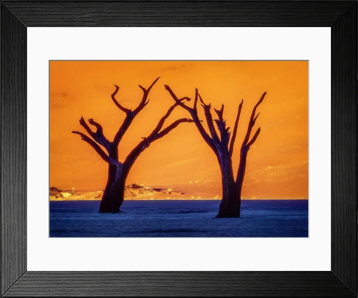 Framed Print : Deadvlei, Namibia, Africa. Portrait of two 700 year old skeletons of dead Camel Thorn trees near Sossusvlei at sunrise Framed Print : Deadvlei, Namibia, Africa. Portrait of two 700 year old skeletons of dead Camel Thorn trees near Sossusvlei at sunrise