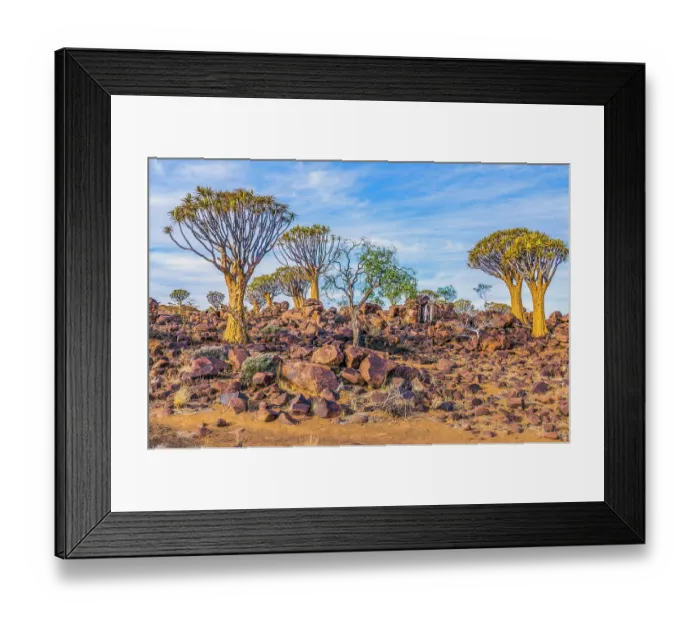 Framed Print : Quiver Tree Forest, Namibia, Africa. Wide angle landscape view of quiver trees, also called kokerboom, a very large aloe tree of southern Africa