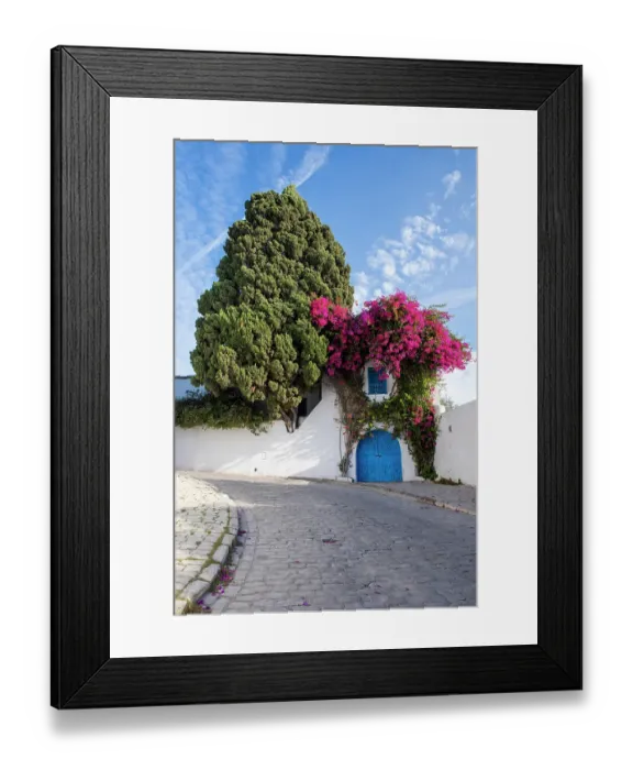 Framed Print : Sidi Bou Said, Tunisia, Africa. A picturesque doorway in town