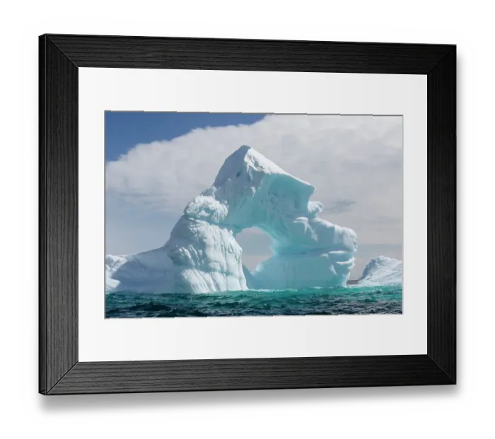 Framed Print : Southern Ocean, Antarctica. A beautifully eroded iceberg is aground near Hydrurga Rocks Framed Print : Southern Ocean, Antarctica. A beautifully eroded iceberg is aground near Hydrurga Rocks