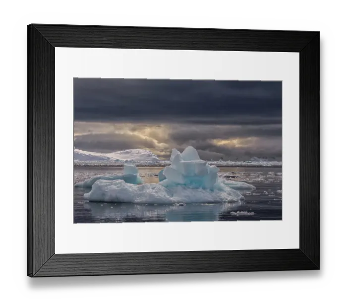 Framed Print : Southern Ocean, Antarctica, Paradise Harbour. Scenics of the ice covered harbor under lowering skies Framed Print : Southern Ocean, Antarctica, Paradise Harbour. Scenics of the ice covered harbor under lowering skies