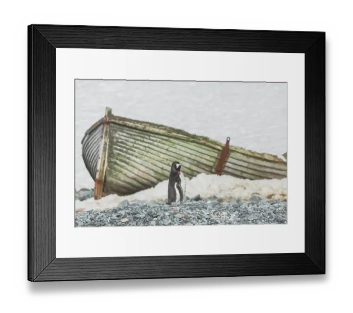 Framed Print : Southern Ocean, Antarctica, South Shetland Islands, Half Moon Island. Abandoned whaling boat lies on the beach attended by a single preening penguin Framed Print : Southern Ocean, Antarctica, South Shetland Islands, Half Moon Island. Abandoned whaling boat lies on the beach attended by a single preening penguin