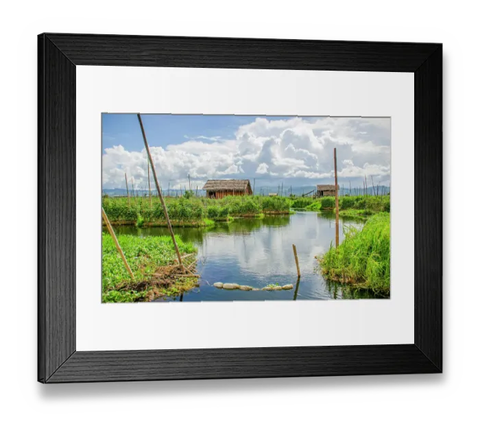 Framed Print : Inle Lake, Myanmar. Landscape view of floating gardens growing produce in the shallow lake water
