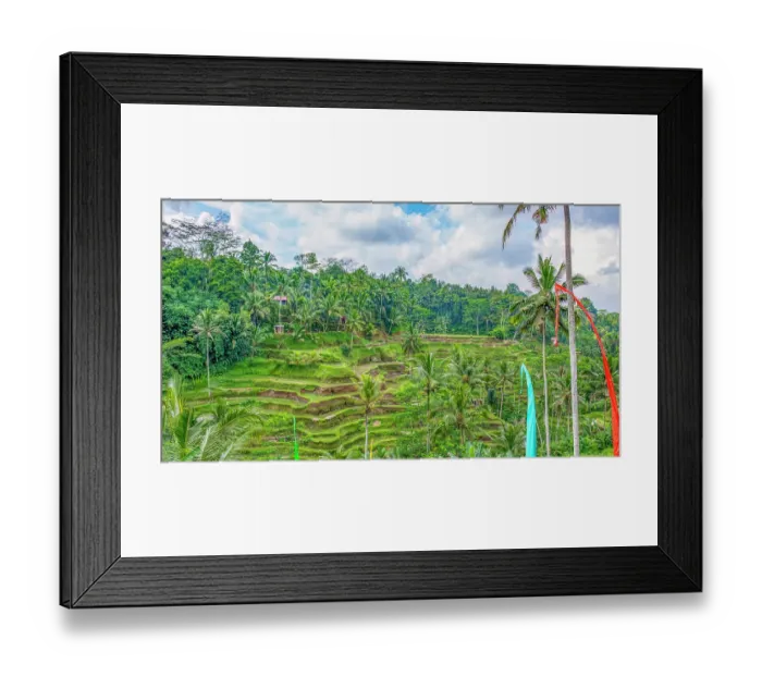 Framed Print : Bali, Indonesia. Landscape view of Umbul-Umbul, tail of the dragon, traditional Buddhist flags flying over the rice terraces and palm trees Framed Print : Bali, Indonesia. Landscape view of Umbul-Umbul, tail of the dragon, traditional Buddhist flags flying over the rice terraces and palm trees