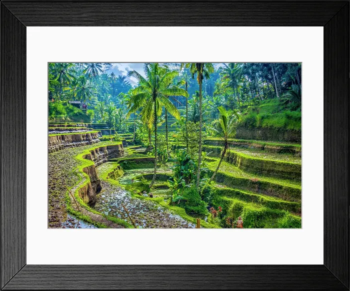 Framed Print : Bali, Indonesia. Wide angle landscape view of farmers maintaining rice terraces and irrigation canals Framed Print : Bali, Indonesia. Wide angle landscape view of farmers maintaining rice terraces and irrigation canals