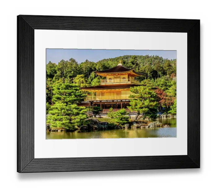 Framed Print : Colorful Kinkaku-Ji (Rokuon-Ji) golden pavilion, Kyoto, Japan. Dates to 1397 Constructed by Shogun Ashikaga Yoshimasa. (Editorial Use Only) Framed Print : Colorful Kinkaku-Ji (Rokuon-Ji) golden pavilion, Kyoto, Japan. Dates to 1397 Constructed by Shogun Ashikaga Yoshimasa. (Editorial Use Only)