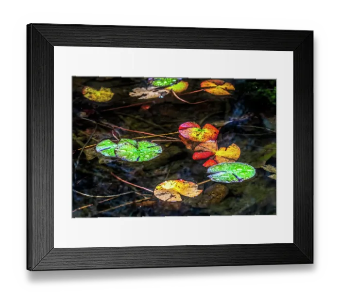 Framed Print : Colorful Tofuku-ji Buddhist temple, Kyoto, Japan. Dates to 1236 Framed Print : Colorful Tofuku-ji Buddhist temple, Kyoto, Japan. Dates to 1236