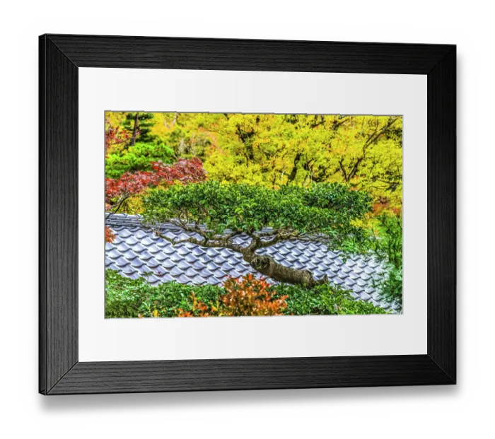 Framed Print : Colorful Autumn foliage, Tofuku-ji Buddhist temple, Kyoto, Japan. Famous for its autumn leaves, dates to 1236 Framed Print : Colorful Autumn foliage, Tofuku-ji Buddhist temple, Kyoto, Japan. Famous for its autumn leaves, dates to 1236