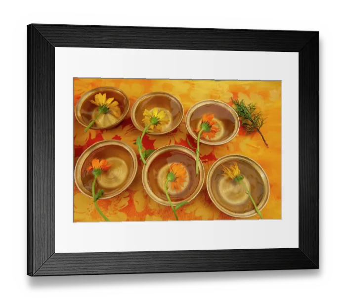 Framed Print : Tibet, Kham, Tagong. Tibetan nomad celebration at Buddhist flower festival Framed Print : Tibet, Kham, Tagong. Tibetan nomad celebration at Buddhist flower festival