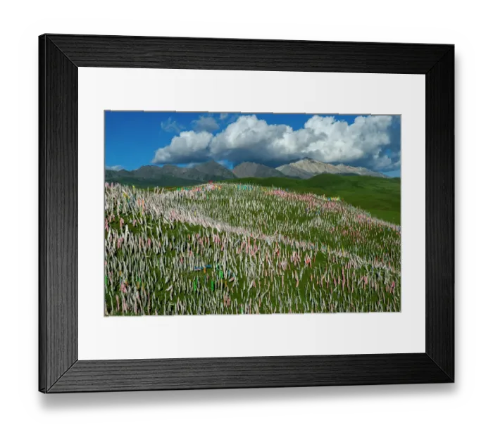 Framed Print : Tibet, Kham, Litang. Tibetan nomads near Litang. Hill covered in prayer flags Framed Print : Tibet, Kham, Litang. Tibetan nomads near Litang. Hill covered in prayer flags