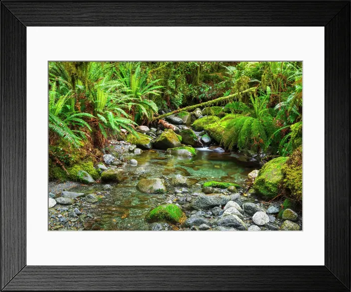 Framed Print : Stream on the Tutoko River Track, Fiordland National Park, South Island, New Zealand Framed Print : Stream on the Tutoko River Track, Fiordland National Park, South Island, New Zealand