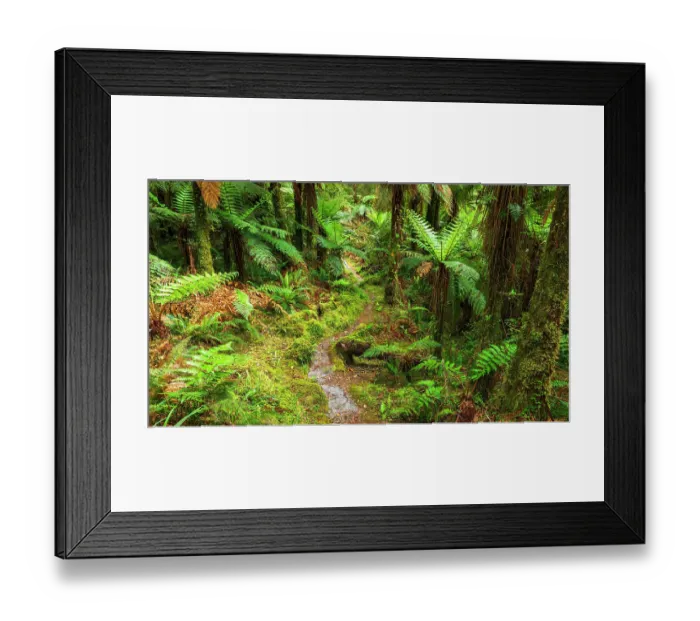 Framed Print : Tutoko River Track, Fiordland National Park, South Island, New Zealand Framed Print : Tutoko River Track, Fiordland National Park, South Island, New Zealand