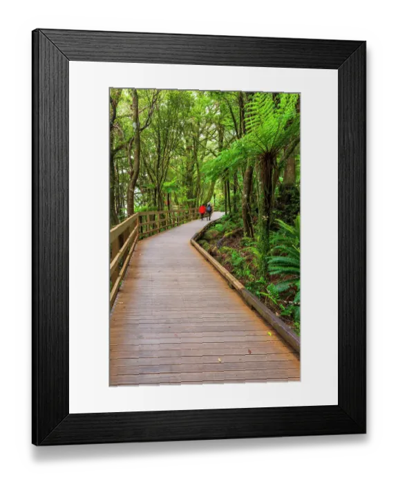 Framed Print : Hikers on boardwalk through rainforest at Milford Sound, Fiordland National Park, South Island, New Zealand