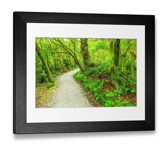 Framed Print : The Routeburn Track, Fiordland National Park, South Island, New Zealand