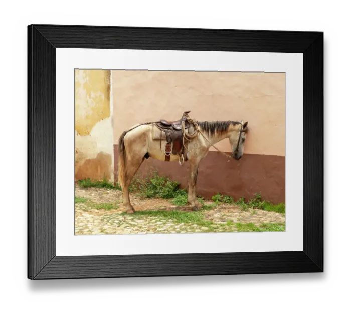 Framed Print : Trinidad, Cuba. An old horse in the streets of Trinidad