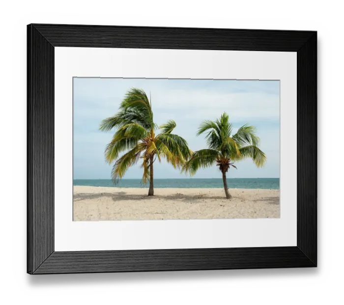 Framed Print : Ancon beach, Cuba. Two palm trees on the shoreline of Ancon beach, Cuba